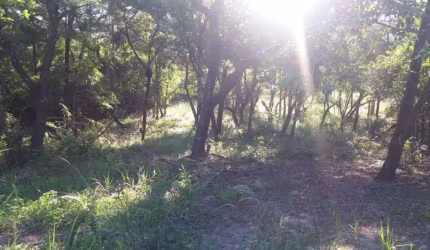 Terreno / Área À venda  com 5.670 m³ na Estância Gramado (Zona Rural)