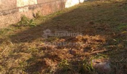 Terreno a venda no Parque das Amoras II com 242 m² (11 x 22), quitado e escriturado, pronto para construção