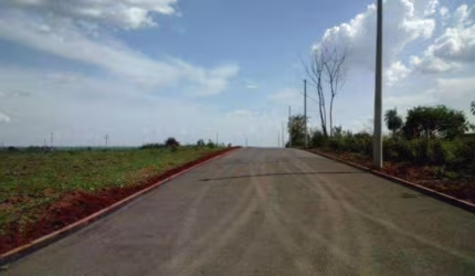 Terreno Padrão em Ibirá
