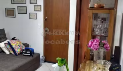 Apartamento com 02 dormitórios à Venda - Vila Ideal