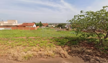 Terreno Padrão em Bady Bassitt