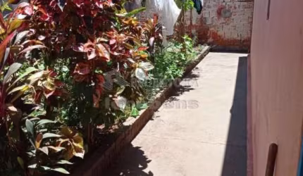 Casa Padrão em São José do Rio Preto