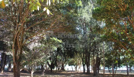 Rancho com 02 dormitórios Jardim Morumbi - Adolfo
