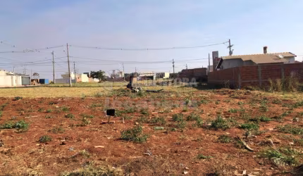 Terreno Padrão em Bady Bassitt