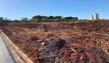 Terreno Padrão em São José do Rio Preto
