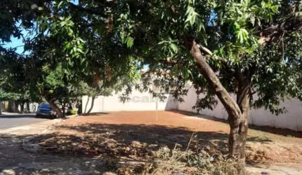 Terreno Padrão em São José do Rio Preto