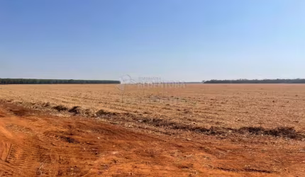 Excelente fazenda na Vila Barroso, com 206,66 Ha de área total!