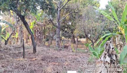 Área Central - Casa tipo chácara, mas na área urbana, tendo 2.250 m² de área, mais uma casa