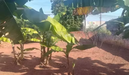 Bady Bassitt - Terreno Venda