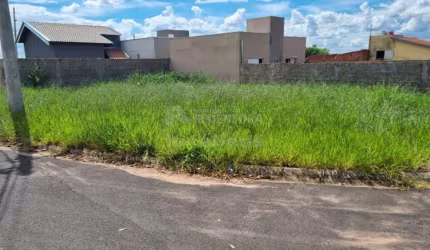 Terreno Residencial Venda Jardim Di Napoli Cedral-SP