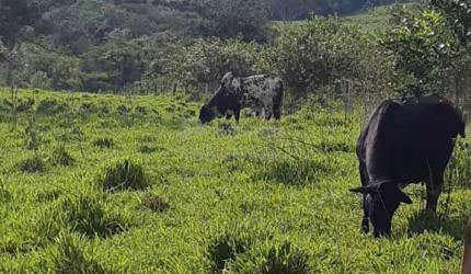 Fazenda no Município de Cachoeira Alta Goiás