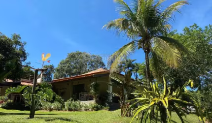 Chacara Venda Jardim dos Coqueiros Catanduva - SP