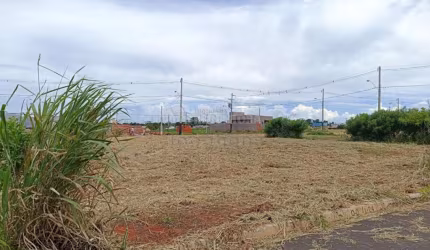 Terreno Padrão em Uchoa