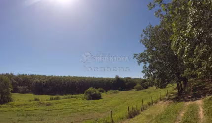 Fazenda em Seringueira no  interior Paulista no município de Auriflama.