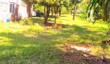 Chacara de 03 dormitórios sendo 02 tipo apartamento na Estância Primavera