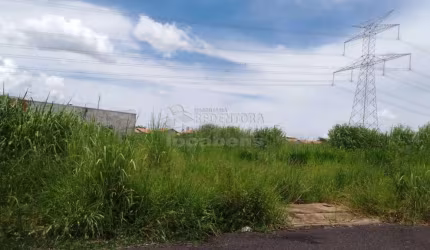 Terreno à Venda localizado no bairro Lago Sul II