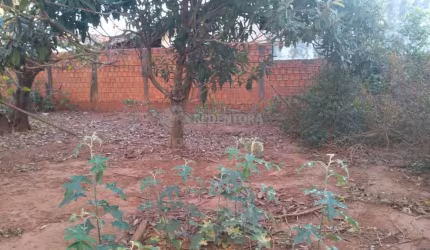 Terreno Padrão em Bady Bassitt