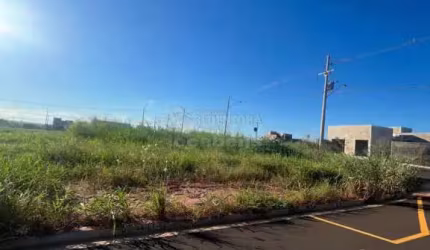 Terreno Padrão em São José do Rio Preto