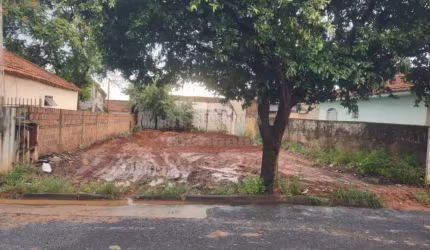Terreno Padrão em São José do Rio Preto