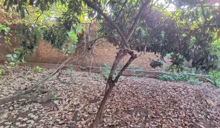 Nova Granada - Região Central - Lote com 377,65 m² Bom local, residencial e comercial