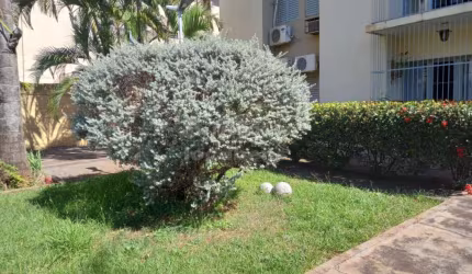 Apartamento São Manoel com 3 dormitórios 1º andar