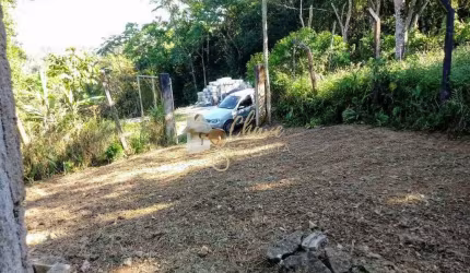 Casa à venda em Engenheiro Marsilac com 1 dormitório