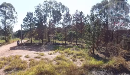 Terreno para Venda em Campo Limpo Paulista, FIGUEIRA BRANCA