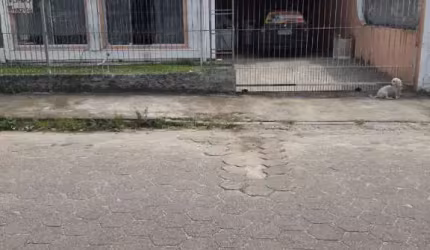 Casa à venda com 4 quartos 1 suíte, 180m² em Caminho Novo Palhoça