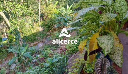 Sítio em 3 Riachos - Área Plana Com casa construída