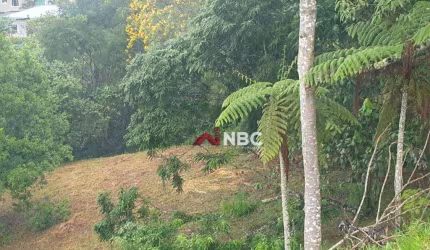Terreno à venda, 1083 m² por R$ 350.000,00 - Condomínio Reserva Ibirapitanga - Santa Isabel/SP