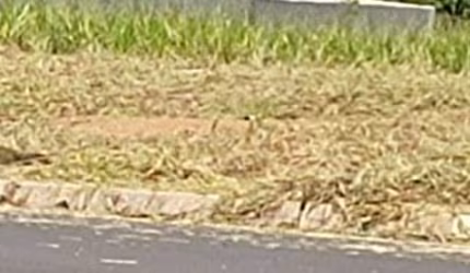 Terreno à venda no Jardim São Francisco II, Cerquilho  por R$ 150.000