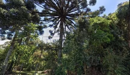 Terreno à venda na Rua Abramo Pezzi, 2016, Marechal Floriano, Caxias do Sul por R$ 10.900.000