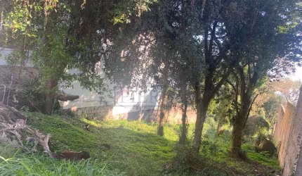 Terreno à venda na Rua Doutor Arnaldo da Silva Ferreira, 270, Jardim Isabel, Porto Alegre por R$ 700.000