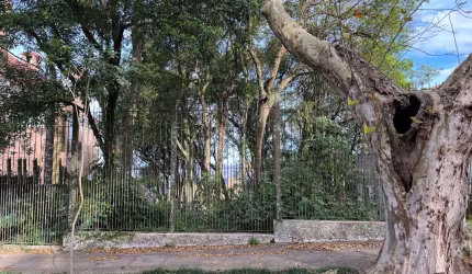 Terreno à venda na Rua Apolinário Porto Alegre, 150, Vila Conceição, Porto Alegre por R$ 450.000