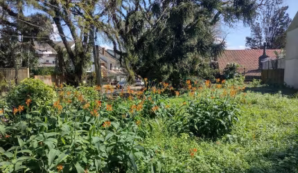 Terreno à venda na Rua Conselheiro Xavier da Costa, 1919, Jardim Isabel, Porto Alegre por R$ 320.000