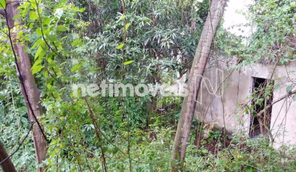 Venda Lote-Área-Terreno Jardim Guanabara Rio de Janeiro