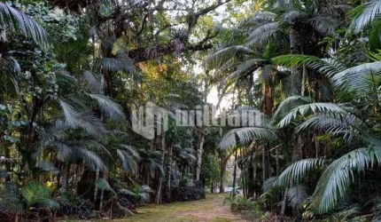Chácara / sítio à venda no Lageado Alto, Guabiruba  por R$ 528.000