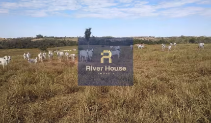 Fazenda   à venda  finalidade pecuaria formada, localizada em  Bom jardim,  Região Nobres , MT