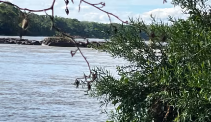Lindíssima Chácara em Nossa Senhora da Guia-MT