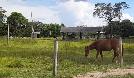 Fazenda maravilhosa em Livramento-MT