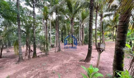 Sítio com 2 dormitórios à venda, 48000 m² por R$ 1.700.000,00 - Zona Rural - Bady Bassitt/SP