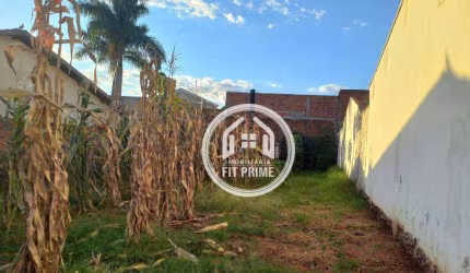 Terreno à venda, 200 m² por R$ 110.000,00 - Parque das Amoras - São José do Rio Preto/SP