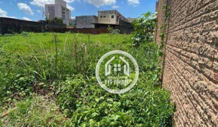 Terreno à venda, 350 m² por R$ 265.000 - Vila Maceno - São José do Rio Preto/SP