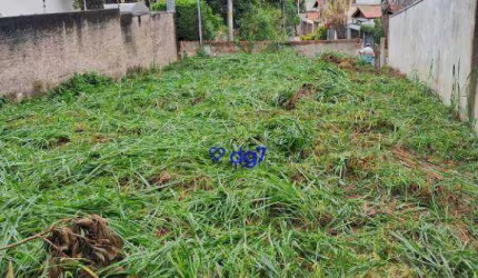 Terreno à venda - Cidade São Francisco - São Paulo/SP