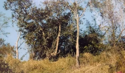 Terreno à venda no Estância Porto Velho, Jacareí  por R$ 80.000