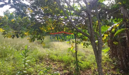 Chácara / sítio com 2 quartos à venda na Zona Rural, Santa Branca  por R$ 230.000