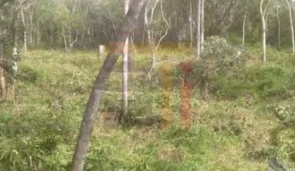 Terreno à venda na Waldemar Fiqueiro, 1, João Paulo, Florianópolis por R$ 1.915.000