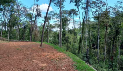 Terreno à venda, 3295 m² por R$ 228.000,00 - Balança - Simão Pereira/MG
