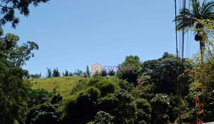 Terreno à venda, 10000 m² por R$ 1.200.000,00 - Santo Antônio - Juiz de Fora/MG