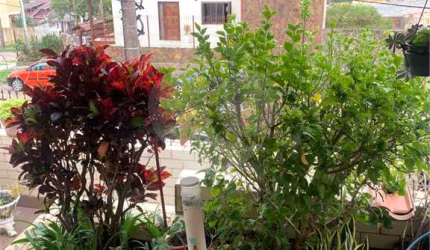 Casa com 4 quartos à venda em Ipanema - RS